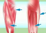 허벅지통증 - 앞쪽, 뒤쪽, 옆쪽, 안쪽, 바깥쪽 위치에 따른 통증 원인